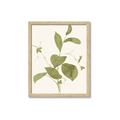 Picture of Leaf Mirage II _GroupedProduct_Rectangle_Portrait_Framed_Matted_