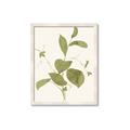 Picture of Leaf Mirage II _GroupedProduct_Rectangle_Portrait_Framed_Matted_