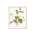 Picture of Leaf Mirage II _GroupedProduct_Rectangle_Portrait_Framed_Matted_