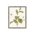 Picture of Leaf Mirage II _GroupedProduct_Rectangle_Portrait_Framed_Matted_