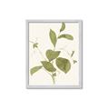 Picture of Leaf Mirage II _GroupedProduct_Rectangle_Portrait_Framed_Matted_