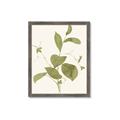 Picture of Leaf Mirage II _GroupedProduct_Rectangle_Portrait_Framed_Matted_