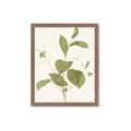 Picture of Leaf Mirage II _GroupedProduct_Rectangle_Portrait_Framed_Matted_