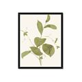 Picture of Leaf Mirage II _GroupedProduct_Rectangle_Portrait_Framed_Matted_
