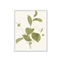 Picture of Leaf Mirage II _GroupedProduct_Rectangle_Portrait_Framed_Matted_