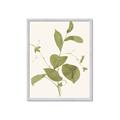 Picture of Leaf Mirage II _GroupedProduct_Rectangle_Portrait_Framed_Matted_