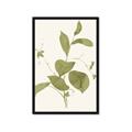 Picture of Leaf Mirage II _GroupedProduct_Rectangle_Portrait_Framed_Matted_