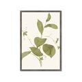 Picture of Leaf Mirage II _GroupedProduct_Rectangle_Portrait_Framed_Matted_