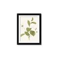 Picture of Leaf Mirage II _GroupedProduct_Rectangle_Portrait_Framed_Matted_