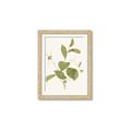 Picture of Leaf Mirage II _GroupedProduct_Rectangle_Portrait_Framed_Matted_