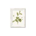 Picture of Leaf Mirage II _GroupedProduct_Rectangle_Portrait_Framed_Matted_
