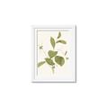 Picture of Leaf Mirage II _GroupedProduct_Rectangle_Portrait_Framed_Matted_
