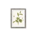 Picture of Leaf Mirage II _GroupedProduct_Rectangle_Portrait_Framed_Matted_