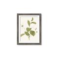 Picture of Leaf Mirage II _GroupedProduct_Rectangle_Portrait_Framed_Matted_
