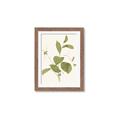 Picture of Leaf Mirage II _GroupedProduct_Rectangle_Portrait_Framed_Matted_