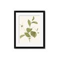 Picture of Leaf Mirage II _GroupedProduct_Rectangle_Portrait_Framed_Matted_