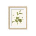 Picture of Leaf Mirage II _GroupedProduct_Rectangle_Portrait_Framed_Matted_