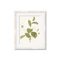 Picture of Leaf Mirage II _GroupedProduct_Rectangle_Portrait_Framed_Matted_