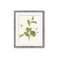 Picture of Leaf Mirage II _GroupedProduct_Rectangle_Portrait_Framed_Matted_