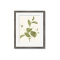 Picture of Leaf Mirage II _GroupedProduct_Rectangle_Portrait_Framed_Matted_