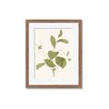Picture of Leaf Mirage II _GroupedProduct_Rectangle_Portrait_Framed_Matted_