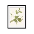 Picture of Leaf Mirage II _GroupedProduct_Rectangle_Portrait_Framed_Matted_