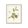 Picture of Leaf Mirage II _GroupedProduct_Rectangle_Portrait_Framed_Matted_