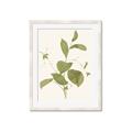 Picture of Leaf Mirage II _GroupedProduct_Rectangle_Portrait_Framed_Matted_