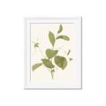 Picture of Leaf Mirage II _GroupedProduct_Rectangle_Portrait_Framed_Matted_