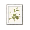 Picture of Leaf Mirage II _GroupedProduct_Rectangle_Portrait_Framed_Matted_