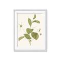 Picture of Leaf Mirage II _GroupedProduct_Rectangle_Portrait_Framed_Matted_