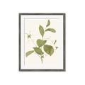 Picture of Leaf Mirage II _GroupedProduct_Rectangle_Portrait_Framed_Matted_