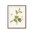 Picture of Leaf Mirage II _GroupedProduct_Rectangle_Portrait_Framed_Matted_