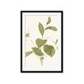 Picture of Leaf Mirage II _GroupedProduct_Rectangle_Portrait_Framed_Matted_