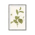 Picture of Leaf Mirage II _GroupedProduct_Rectangle_Portrait_Framed_Matted_