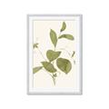 Picture of Leaf Mirage II _GroupedProduct_Rectangle_Portrait_Framed_Matted_