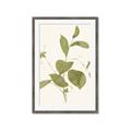 Picture of Leaf Mirage II _GroupedProduct_Rectangle_Portrait_Framed_Matted_