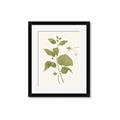 Picture of Leaf Mirage III _GroupedProduct_Rectangle_Portrait_Framed_Matted_