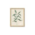 Picture of Swaying Foliage I _GroupedProduct_Rectangle_Portrait_Framed_Matted_