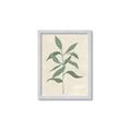 Picture of Swaying Foliage I _GroupedProduct_Rectangle_Portrait_Framed_Matted_
