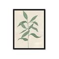 Picture of Swaying Foliage I _GroupedProduct_Rectangle_Portrait_Framed_Matted_