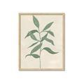 Picture of Swaying Foliage I _GroupedProduct_Rectangle_Portrait_Framed_Matted_