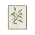 Picture of Swaying Foliage I _GroupedProduct_Rectangle_Portrait_Framed_Matted_