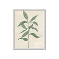 Picture of Swaying Foliage I _GroupedProduct_Rectangle_Portrait_Framed_Matted_