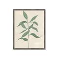 Picture of Swaying Foliage I _GroupedProduct_Rectangle_Portrait_Framed_Matted_