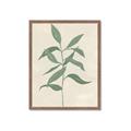 Picture of Swaying Foliage I _GroupedProduct_Rectangle_Portrait_Framed_Matted_