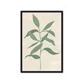 Picture of Swaying Foliage I _GroupedProduct_Rectangle_Portrait_Framed_Matted_