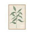Picture of Swaying Foliage I _GroupedProduct_Rectangle_Portrait_Framed_Matted_