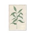Picture of Swaying Foliage I _GroupedProduct_Rectangle_Portrait_Framed_Matted_
