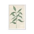 Picture of Swaying Foliage I _GroupedProduct_Rectangle_Portrait_Framed_Matted_